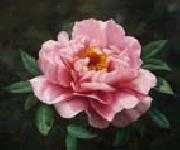 unknow artist Realistic Pink Rose oil painting artist